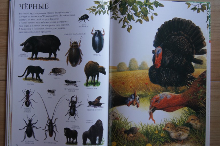 Большой атлас животных