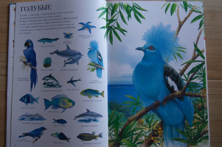 Большой атлас животных