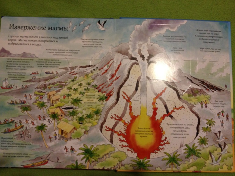 Пополнение ;)