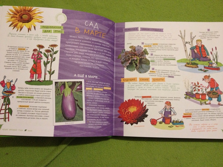 Пополнение ;)