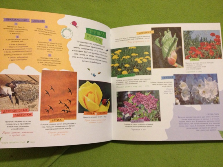 Пополнение ;)