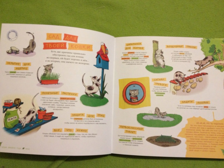 Пополнение ;)