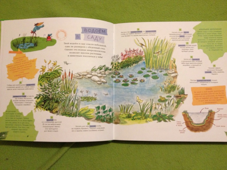 Пополнение ;)