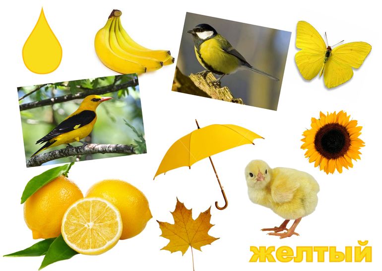 Шершавым языком плаката...