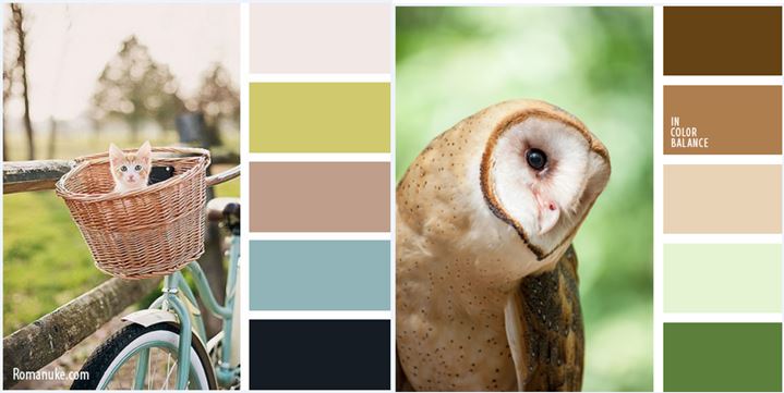 Цвет, цвет, цвет...