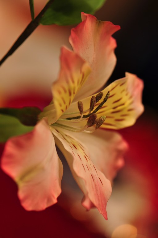 Мои цветочки с курсов ))