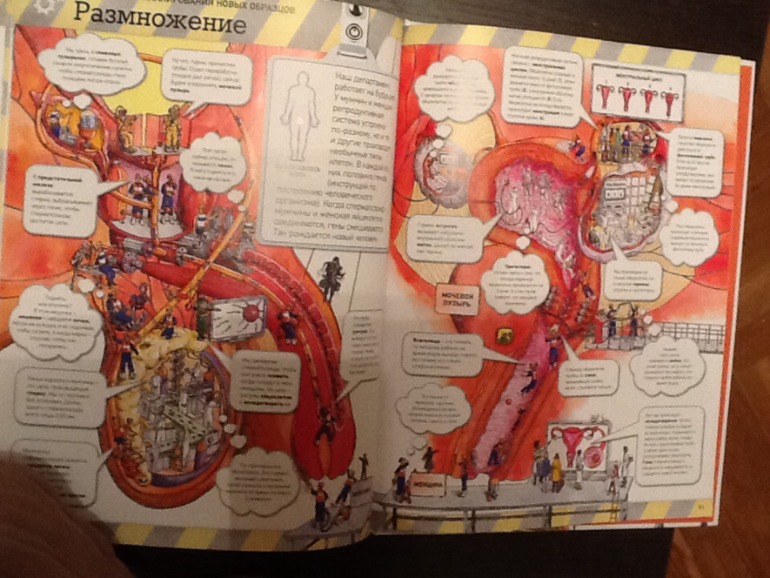 Тело человека!!!!