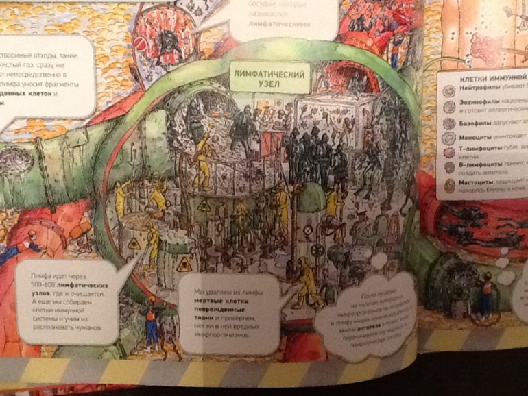 Тело человека!!!!