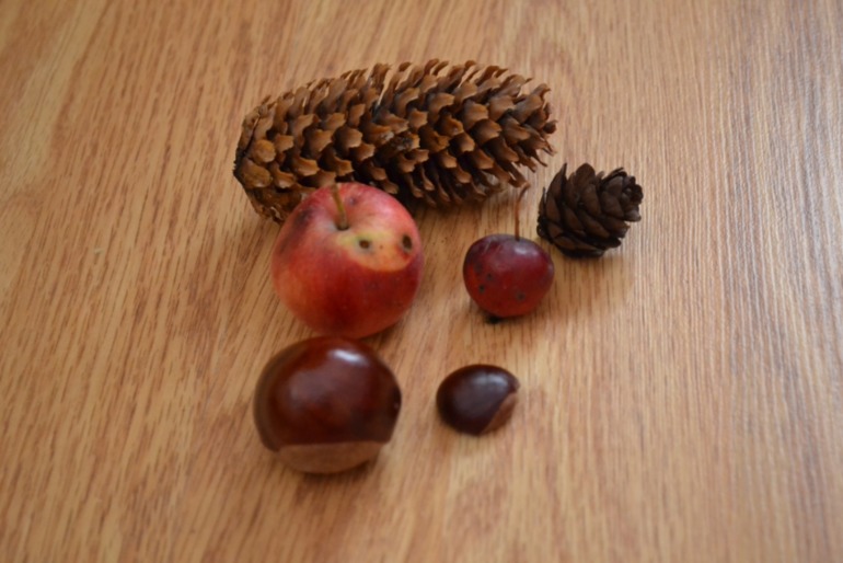 Тематические дни