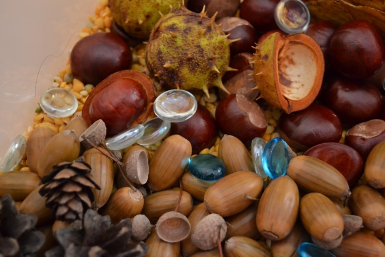 Тематические дни