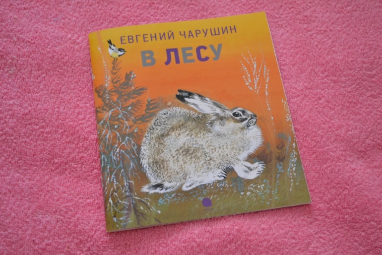 Тематические дни