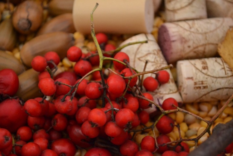 Тематические дни