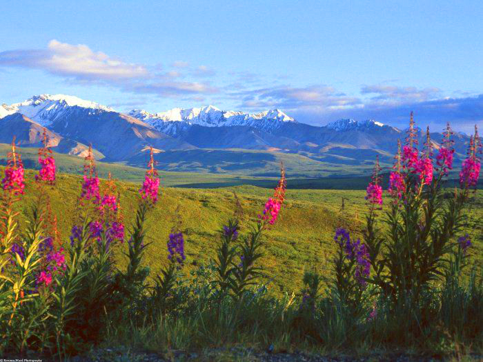 Контрольное задание № 16. Увеличение насыщенности