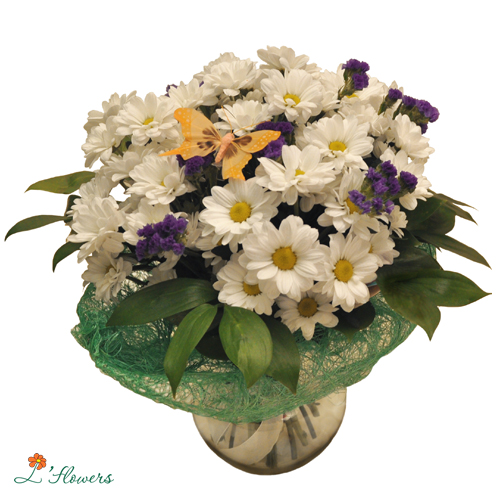 Выпускницы СЕНТЯБРЯ!