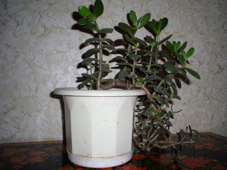 Посмотрите-помогите советом