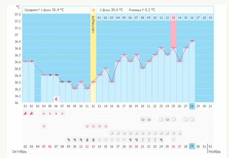 Вот такие пироги