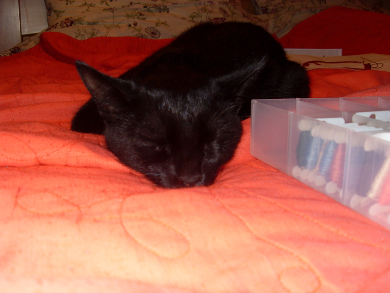 Вышила на заказ... мужу