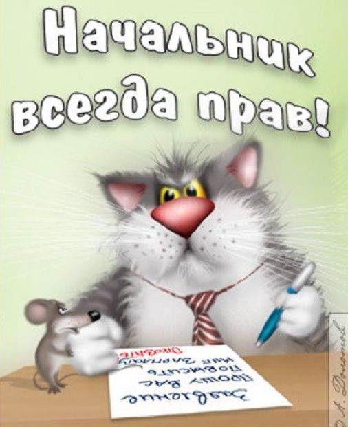 1d47d8435c7c5c914fde63fbcf645807.jpg