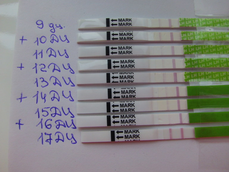 Девочки, неужели дождалать....это овуляция???