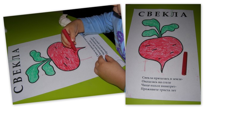 ТН Овощная. Свёкла, репа и редис.