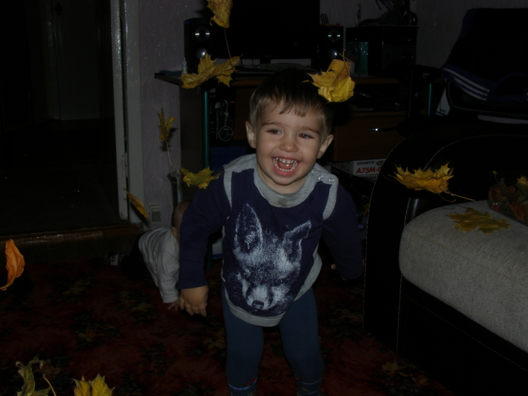 ТЗ Золотая осень