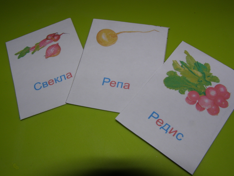 ТН Овощная. Свёкла, репа и редис.