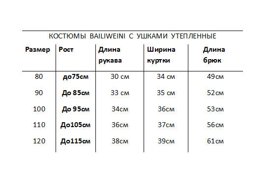 Утепленный костюм BAILIWEINI