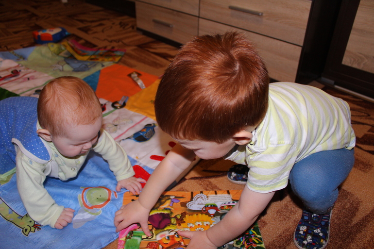 Про моих рыжиков)