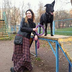 Уникальный тренажер для собак Puller