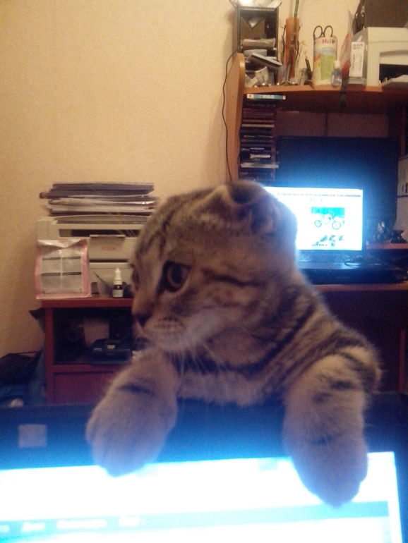 Нам уже 6 мес.