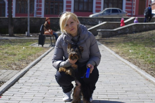 Йорк не выцветает