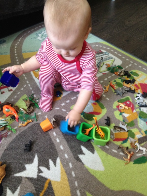 Игры на сортировку. Развивашки Алисы.