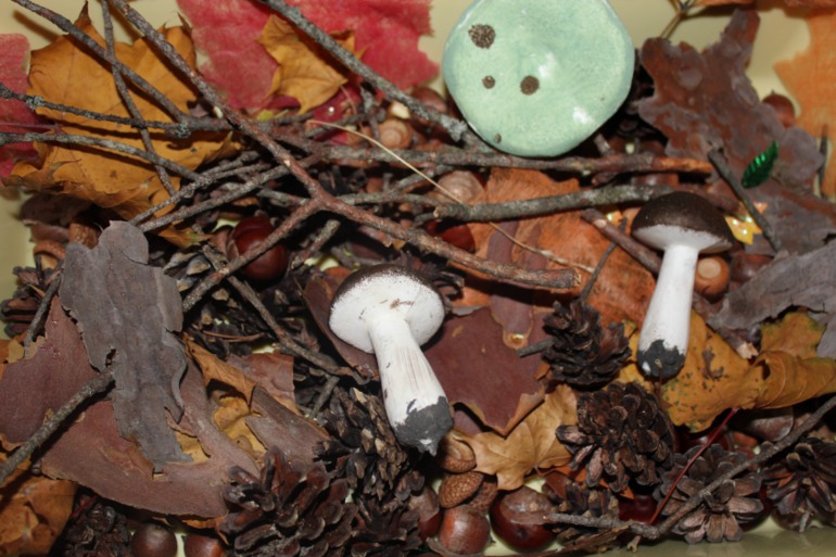 Лесная фея!