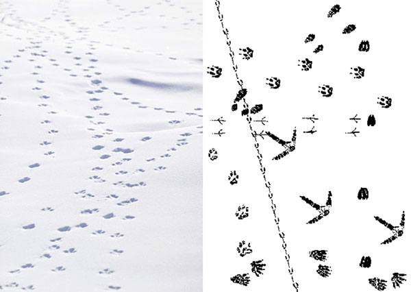 Новогодние письма!