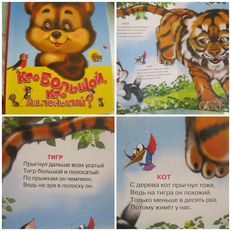 Обзор наших первых книжек.