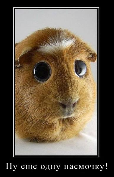 немного позитива.) узнаете себя?))