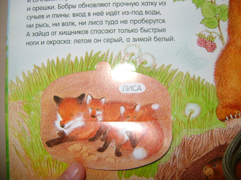 Энциклопедии с секретами