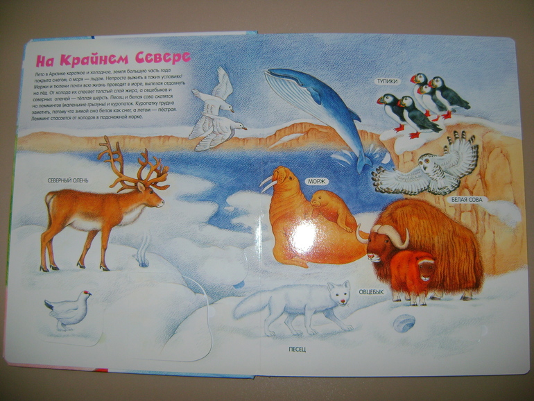 Энциклопедии с секретами