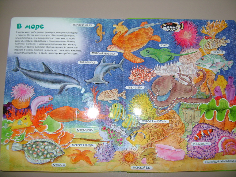 Энциклопедии с секретами