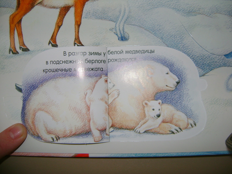 Энциклопедии с секретами