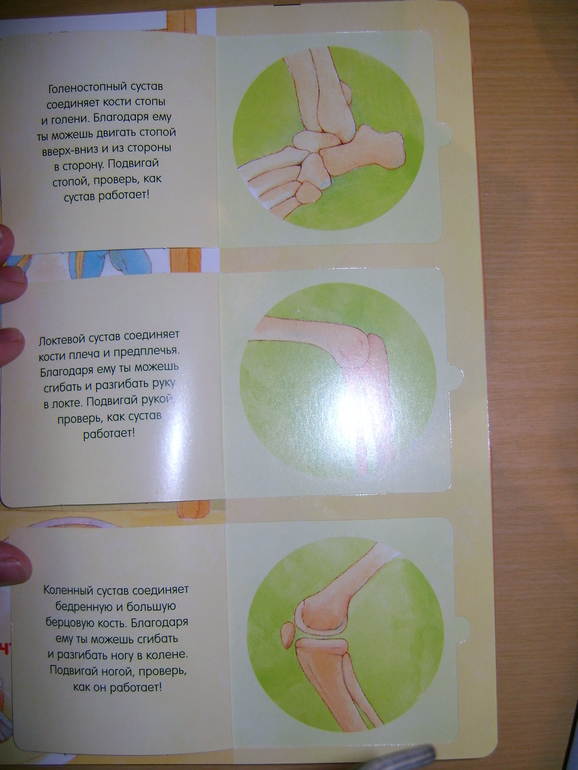 Энциклопедии с секретами