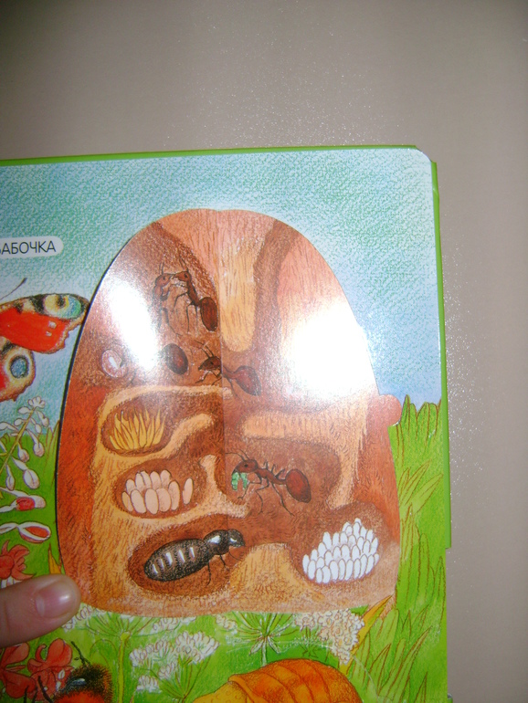 Энциклопедии с секретами