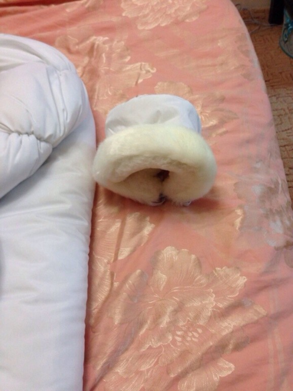 Вот и мы на декабрьскую выписку готовы)