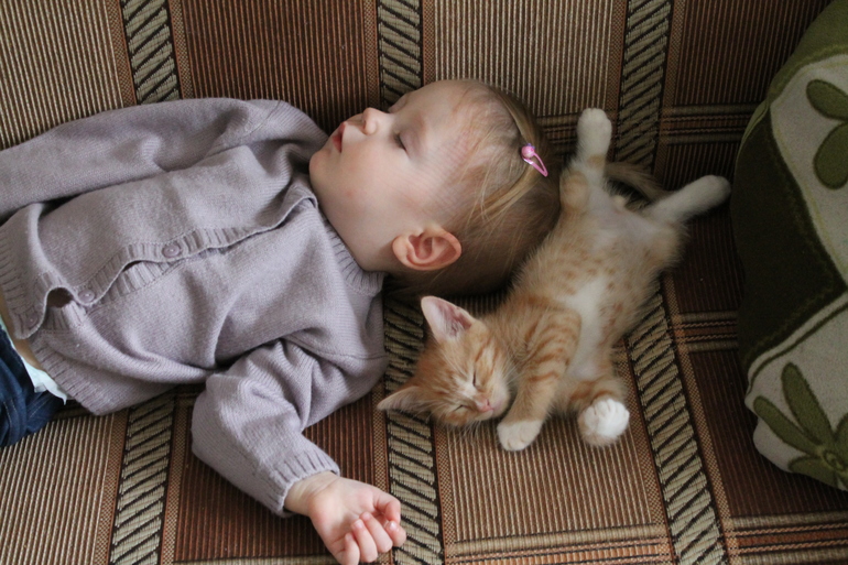 Котик наш чудит