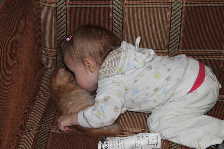 Котик наш чудит