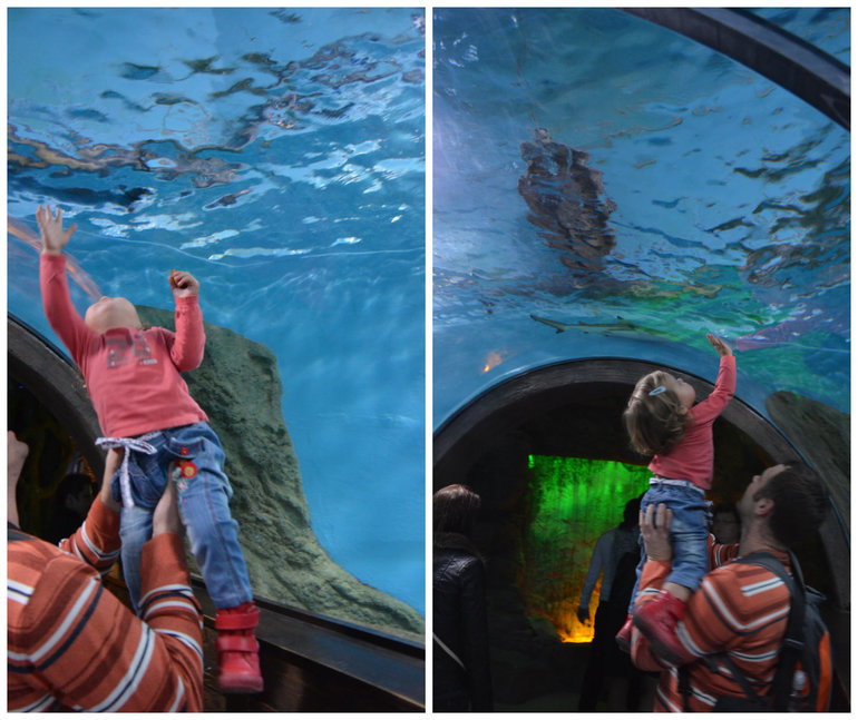 Океанариум №2 РИО