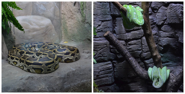 Океанариум №2 РИО