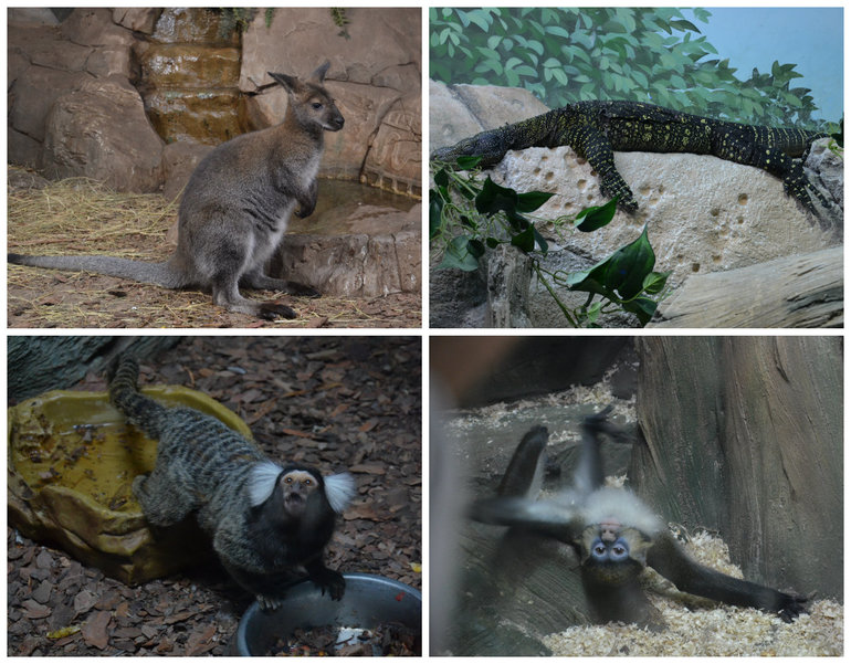 Океанариум №2 РИО