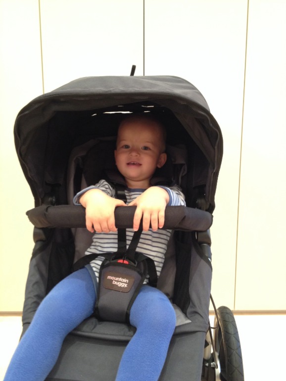 Mountain Buggy Terrain Evolution 2013 цвет Flint