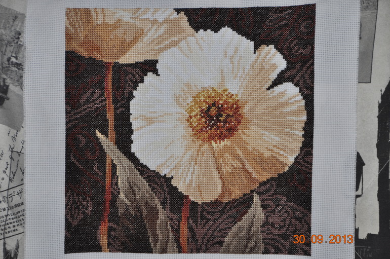 Второй готов! "Алиса", Открытый свету!